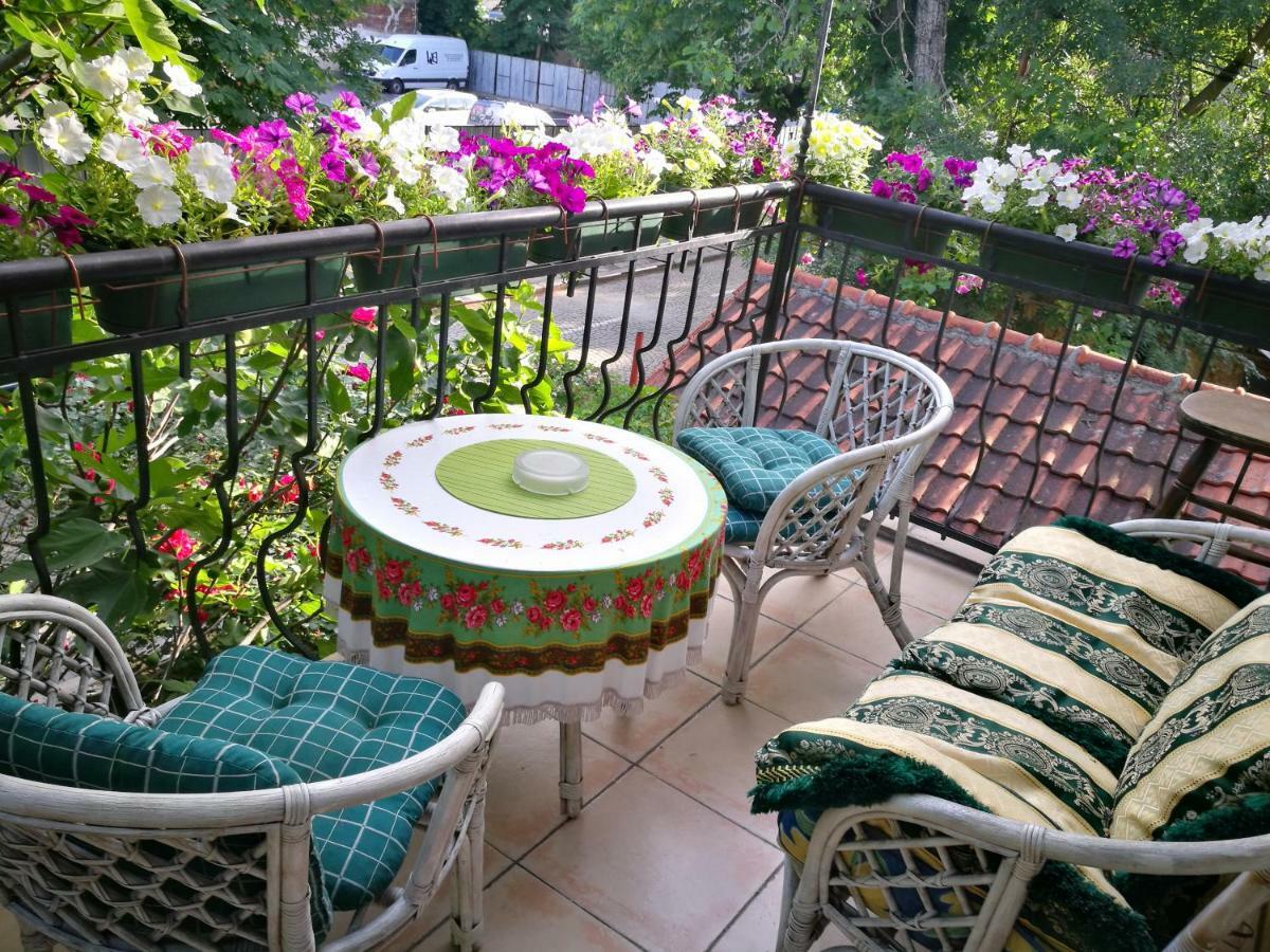Paradise * Sofia
